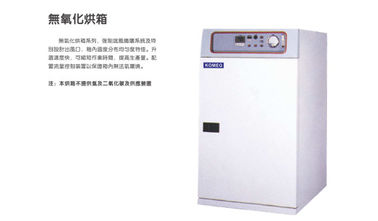 Oxidation Free Industrial Drying Ovens